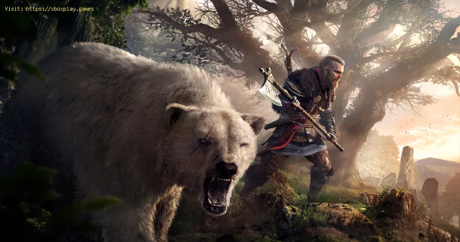 Assassin's Creed Valhalla: So beheben Sie den Bildschirmriss