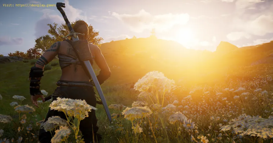 Assassin's Creed Valhalla: dove trovare i guardiani della guerra