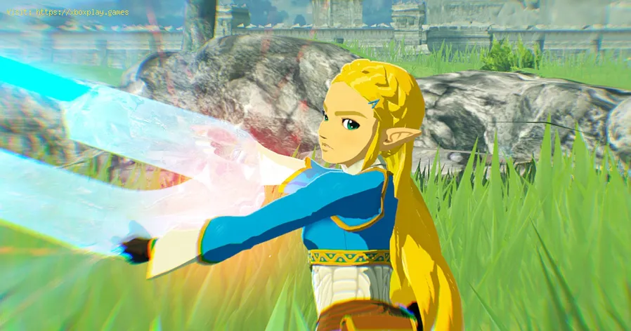 Hyrule Warriors : Cómo obtener escarabajos rinocerontes con cuch