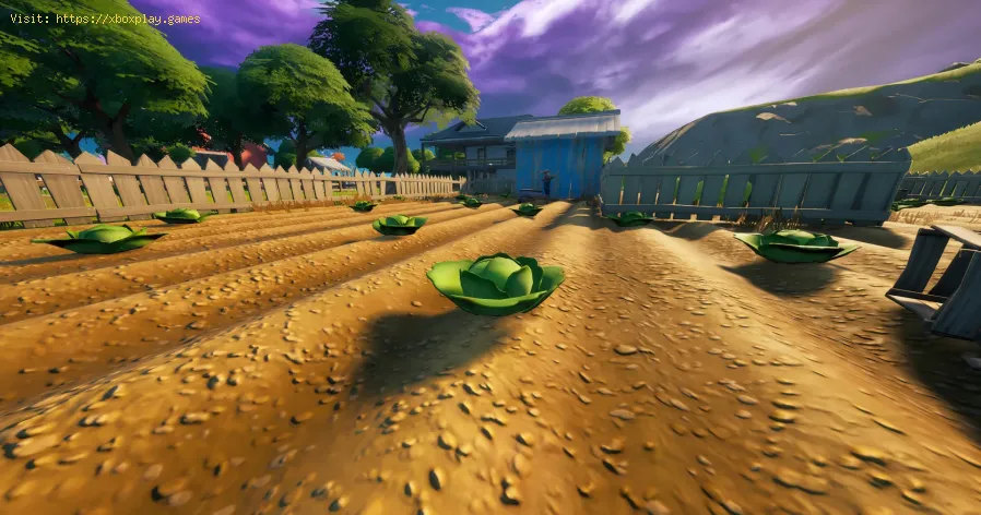 Fortnite: How to Consume Cabbage at The Orchard