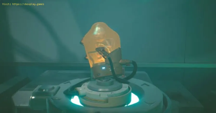 Cyberpunk 2077: How to Find All Easter Eggs