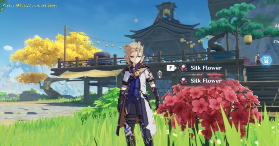 Genshin Impact: Wo finde ich die Seidenblume?