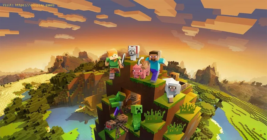 Minecraft: Find Name Tags