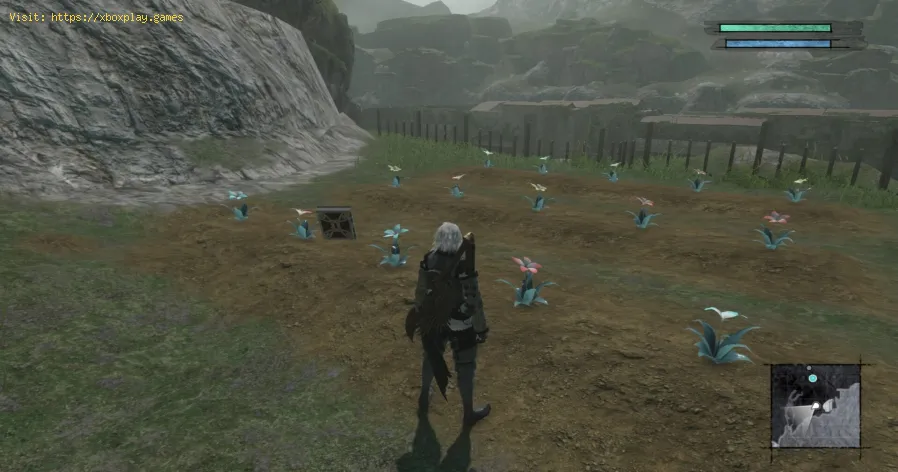 Nier Replicant Ver1.22: como plantar sementes