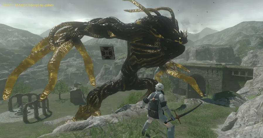 Nier 2: Wo finde ich die Karte des verlorenen Schreins?