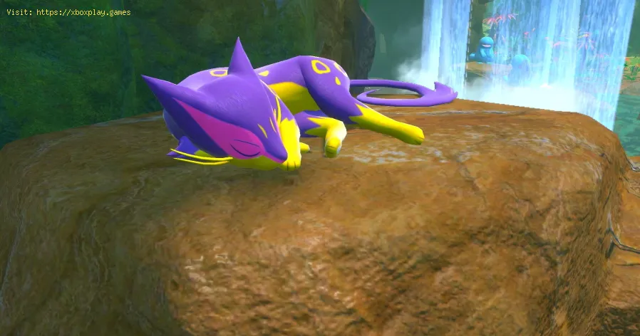 New Pokemon Snap: wie man hinter den Wasserfall geht 