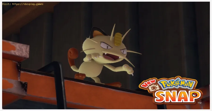 New Pokémon Snap: So vervollständigen Sie den leeren Raum