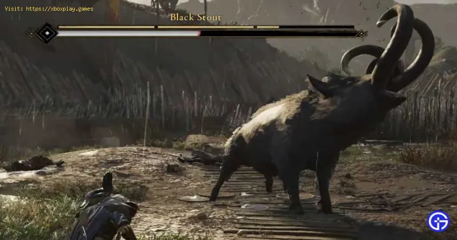 A's Creed Valhalla: Stout im Zorn der Druiden besiegt