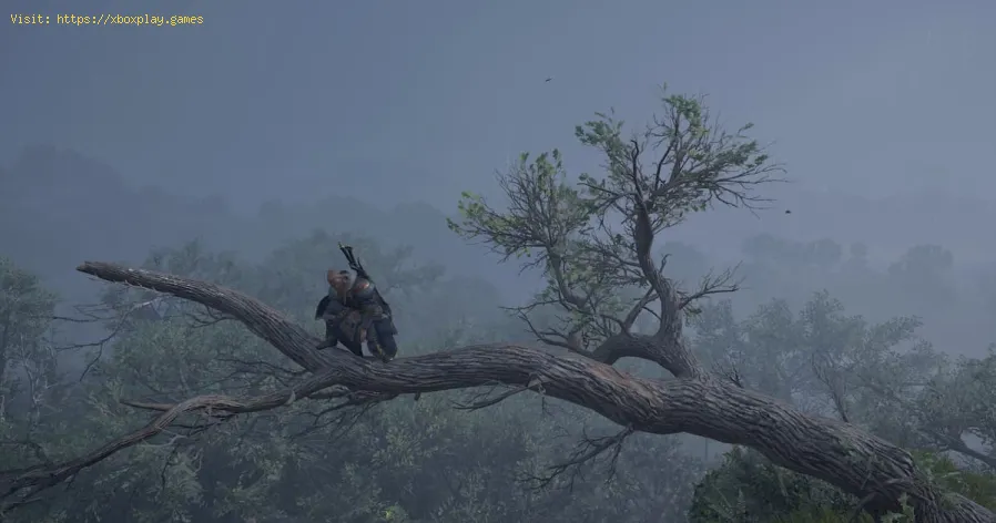 Assassin’s Creed Valhalla: How to beat the ash