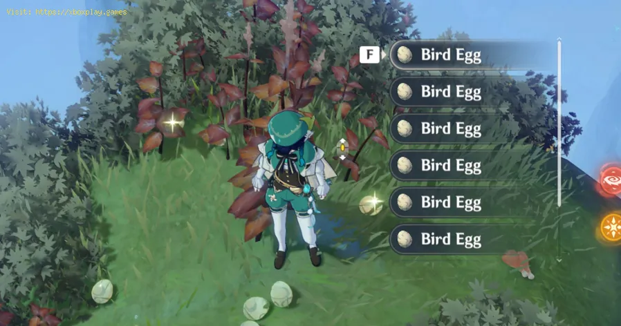 Genshin Impact: Where to find Bird Eggs