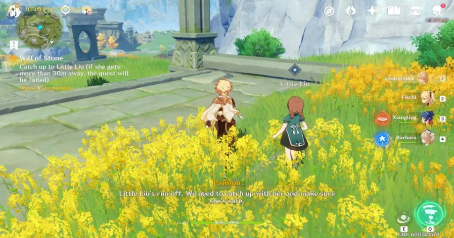 Genshin Impact: Where To Find Little Liu