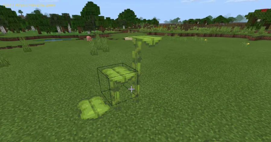 Minecraft: dónde encontrar un gran dripleaf