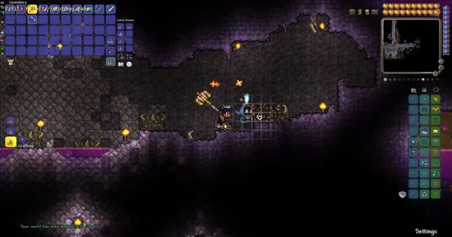 Terraria: How to get a Magic Quiver