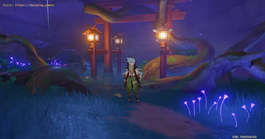 GI: barrier near the abandoned shrine and Konda Vi