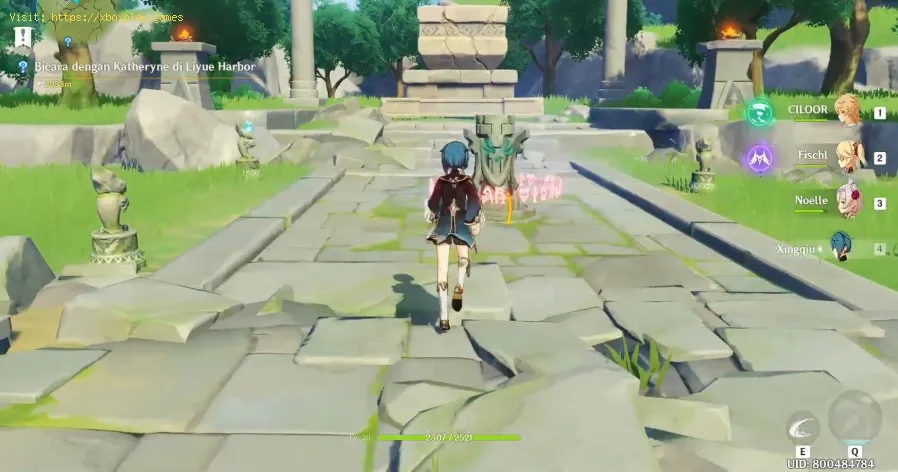 Genshin Impact : Comment débloquer le jardin de Cecilia