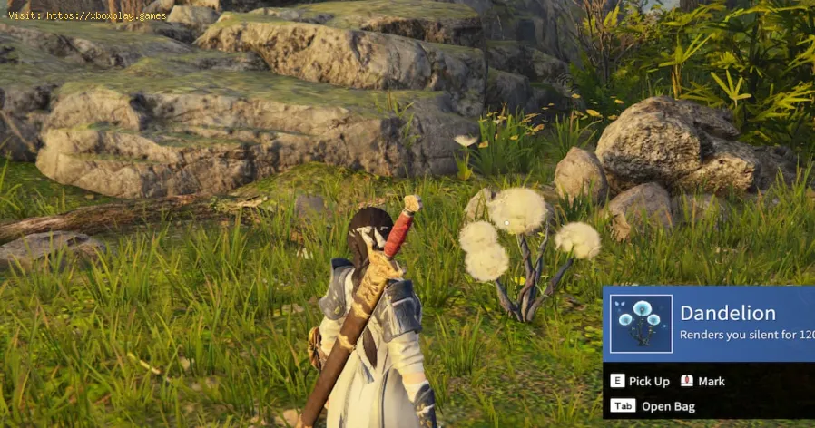 Naraka Bladepoint : Comment obtenir des pissenlits