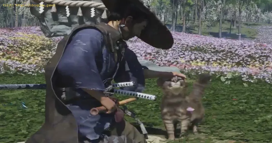 Ghost of Tsushima: Wie man Katzen streichelt