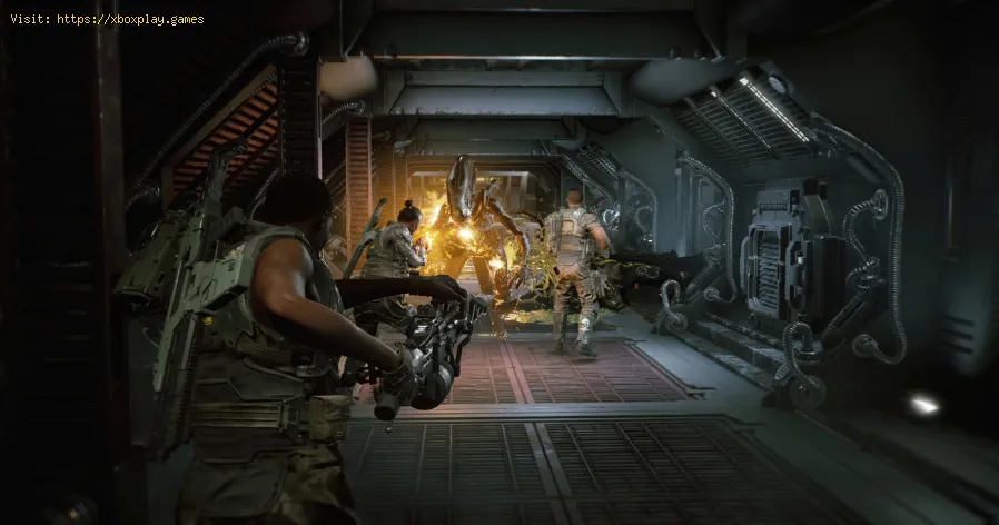 Aliens Fireteam Elite: Cómo arreglar Crashing al inicio