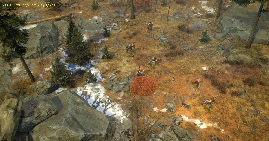 Pathfinder Wrath of the Righteous: come identificare gli elementi