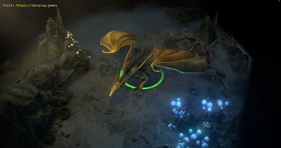 Pathfinder : So lösen Sie das Rätsel mit dem Elfenbeinsc