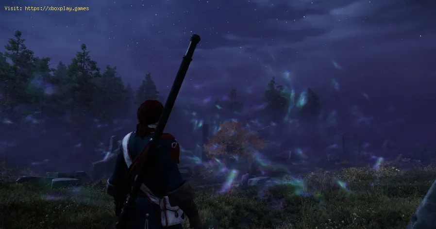 New World : Comment trouver du gingembre