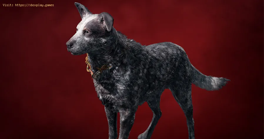 Far Cry 6 : Où trouver Boum Boum - Consultez notre guide