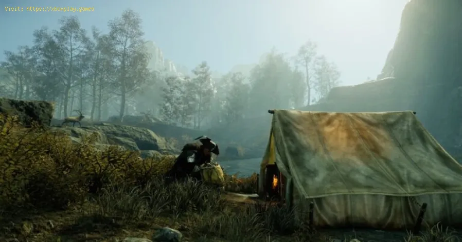 New World: How to find Elk