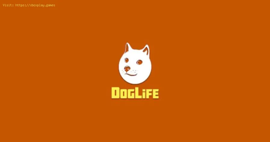 DogLife : Comment guérir une maladie