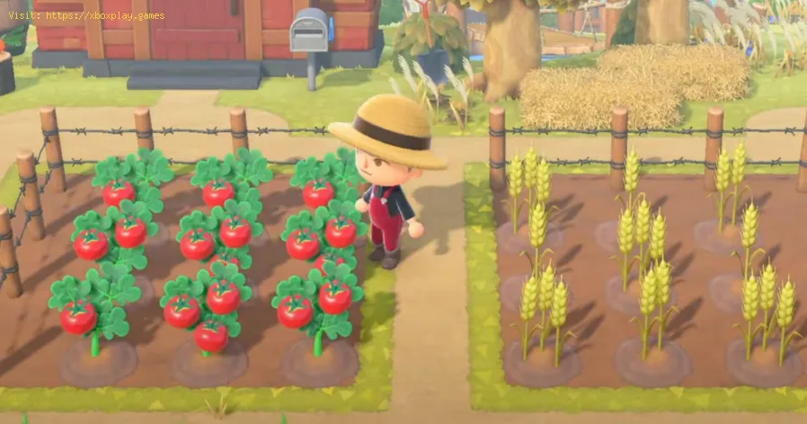 Animal Crossing New Horizons : Comment faire pousser des tomates