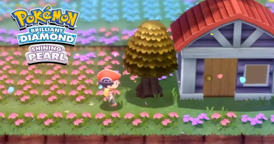 Pokémon BDSP : Comment obtenir du miel