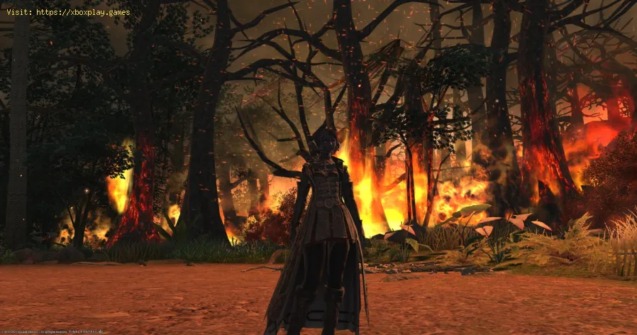 Final Fantasy XIV: come sbloccare il Dungeon Vanaspati