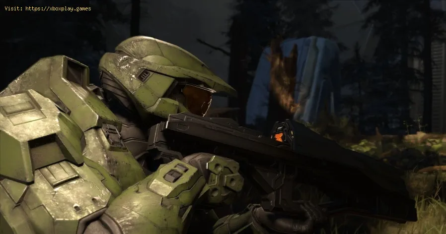 Halo Infinite: come trovare la skin per armi Commando Warmaster Prize