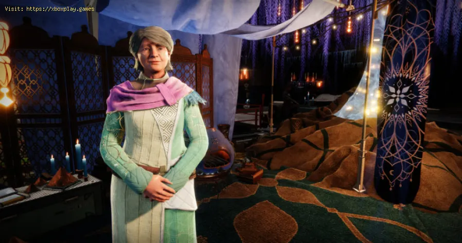 Destiny 2: So erhalten Sie Chitin Dust im Dawn 2021-Event