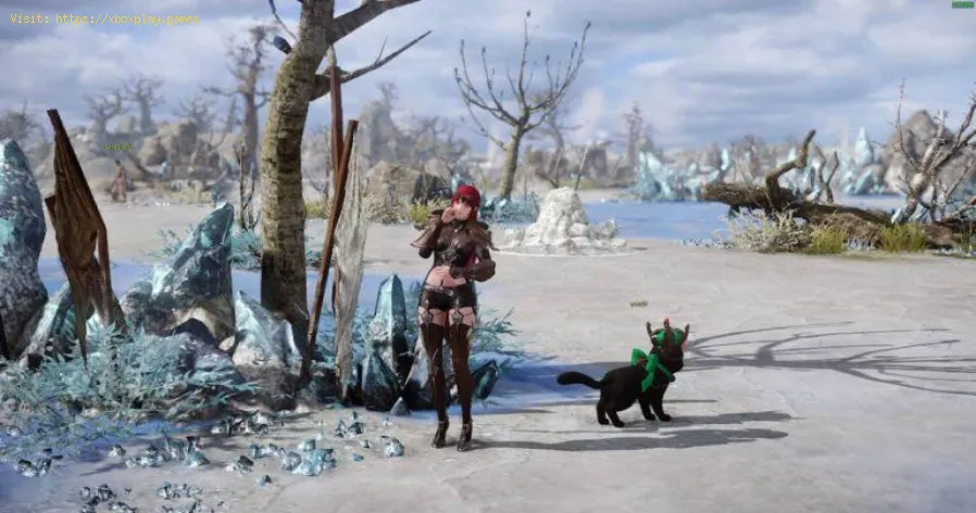 Lost Ark: How to get the Salt-grilled Saltbug