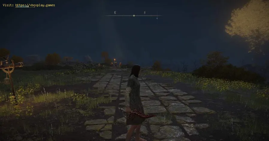 Elden Ring: Where to Find Reduvia Bleed Dagger