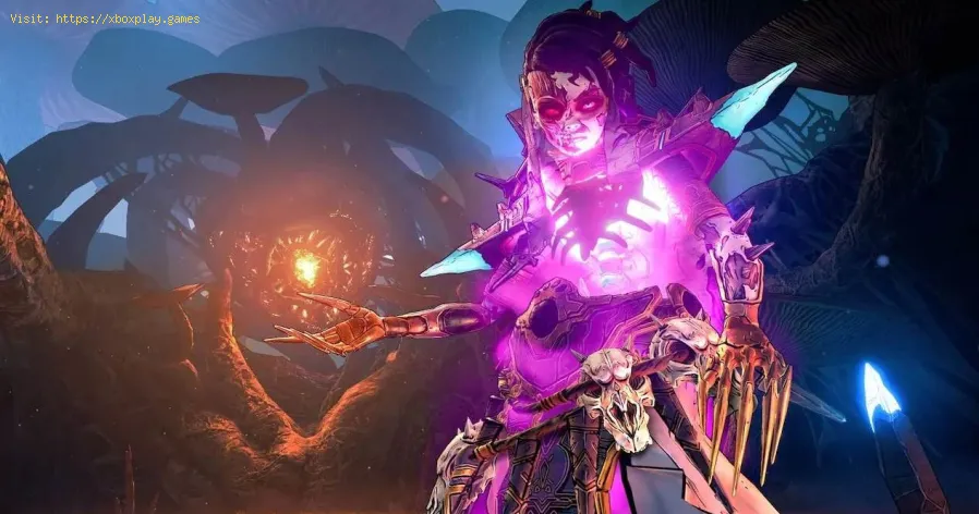 Tiny Tina's Wonderlands: How To Fix Cross-play Not Working