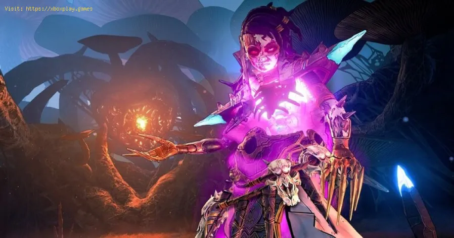 Tiny Tina’s Wonderlands: How to fix the Loot Luck issue 