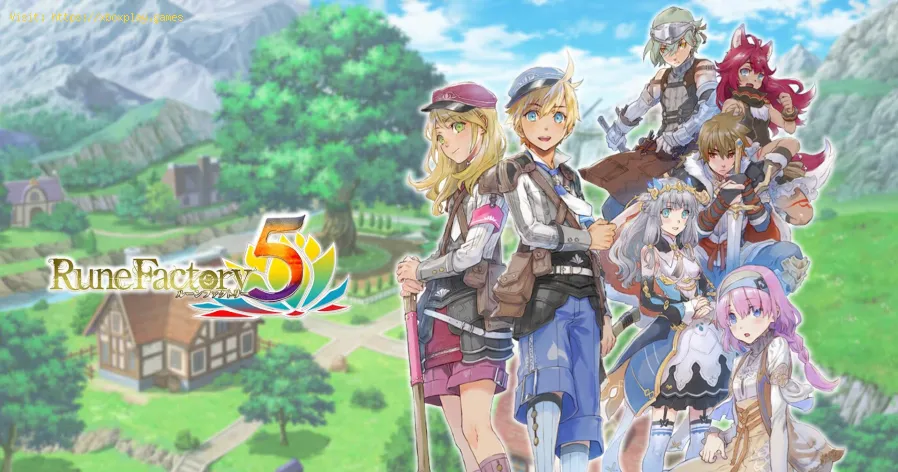 Rune Factory 5 : comment cuisiner un ragoût