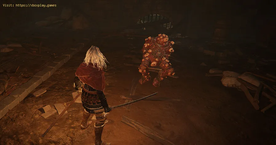 Elden Ring: Where to Find Dung Eater
