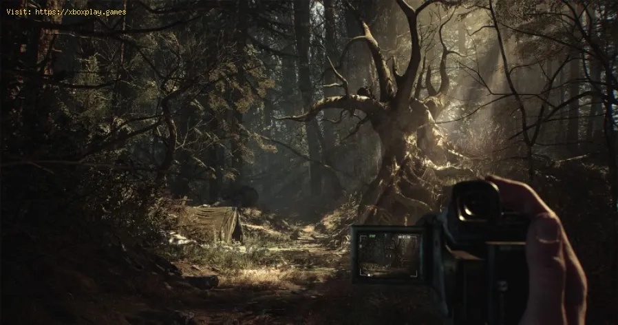 Blair Witch: come lasciare il campo abbandonato