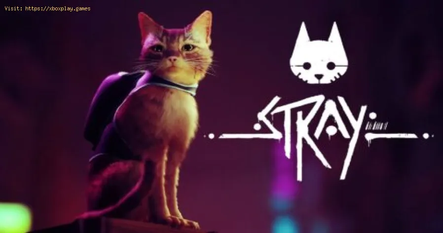 Como abrir o código da porta em um apartamento em Stray