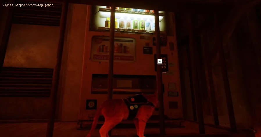 Where to find all the energy drinks in Stray