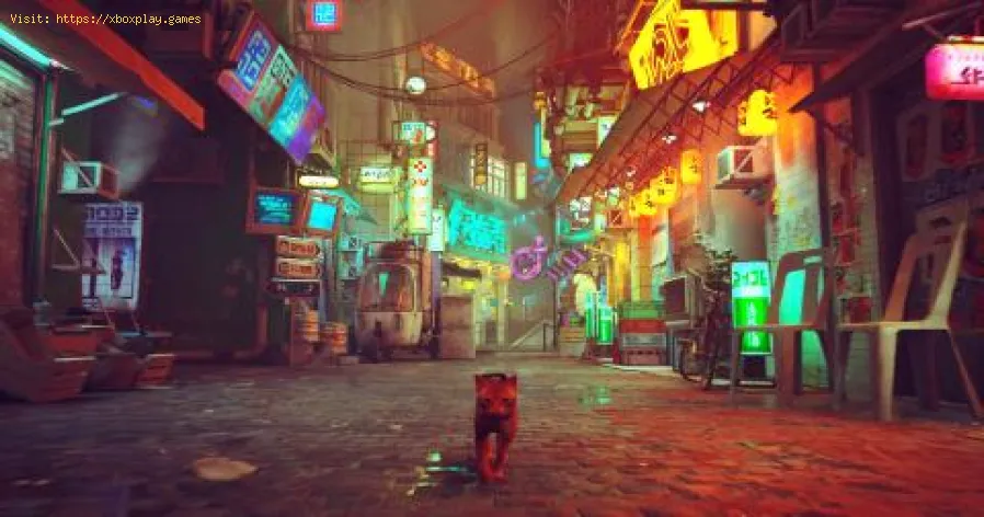 How to get the Stray safe code in The Slums