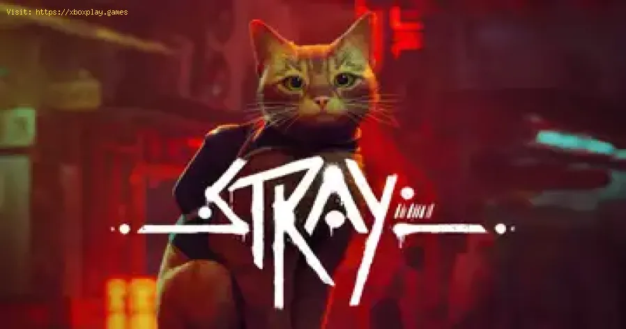 Combien de temps pour terminer Stray ?