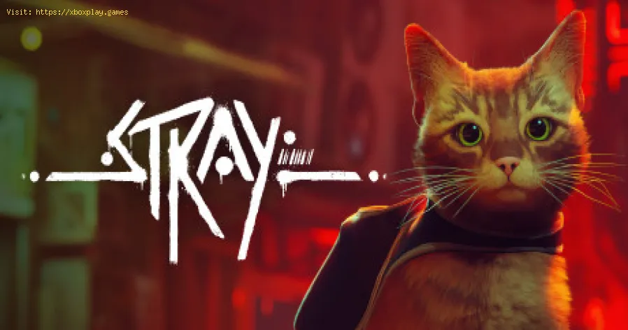 Comment détruire les caméras de sécurité dans Stray
