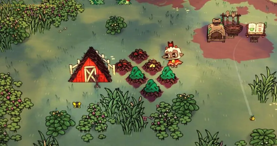 Wo findet man Kameliensamen in Cult of the Lamb