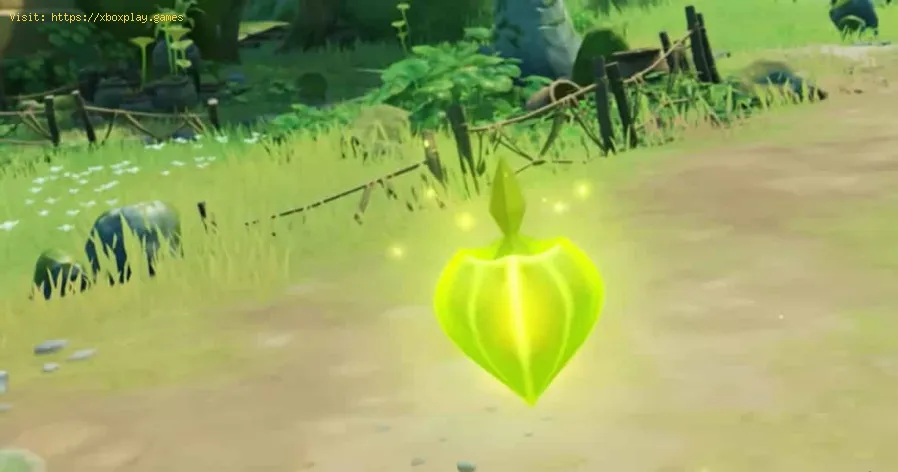 Comment utiliser Dendro dans Genshin Impact