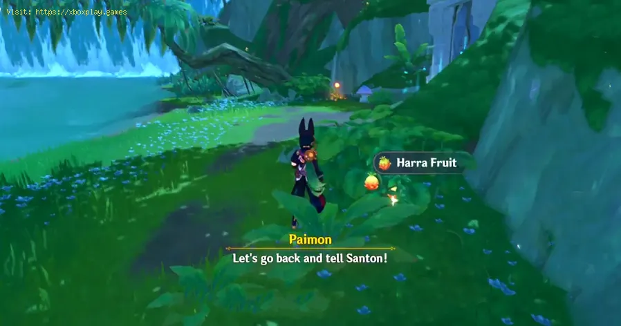 Dónde obtener la fruta Harra Genshin Impact