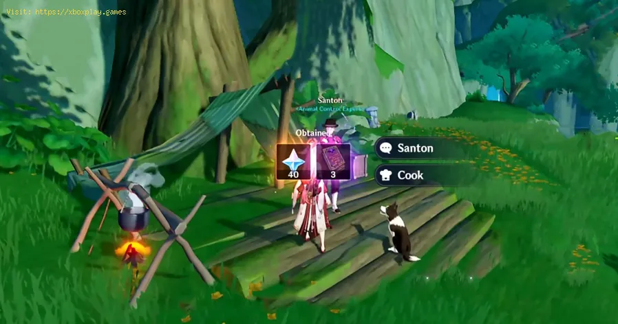 Encontrar la aguja de la iluminación solitaria en Genshin Impact