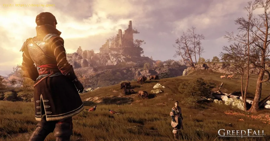 GreedFall: comment voyager vite - Consultez notre guide